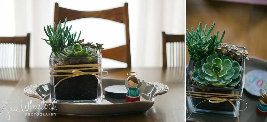 cadeaux invités assiette plante succulente